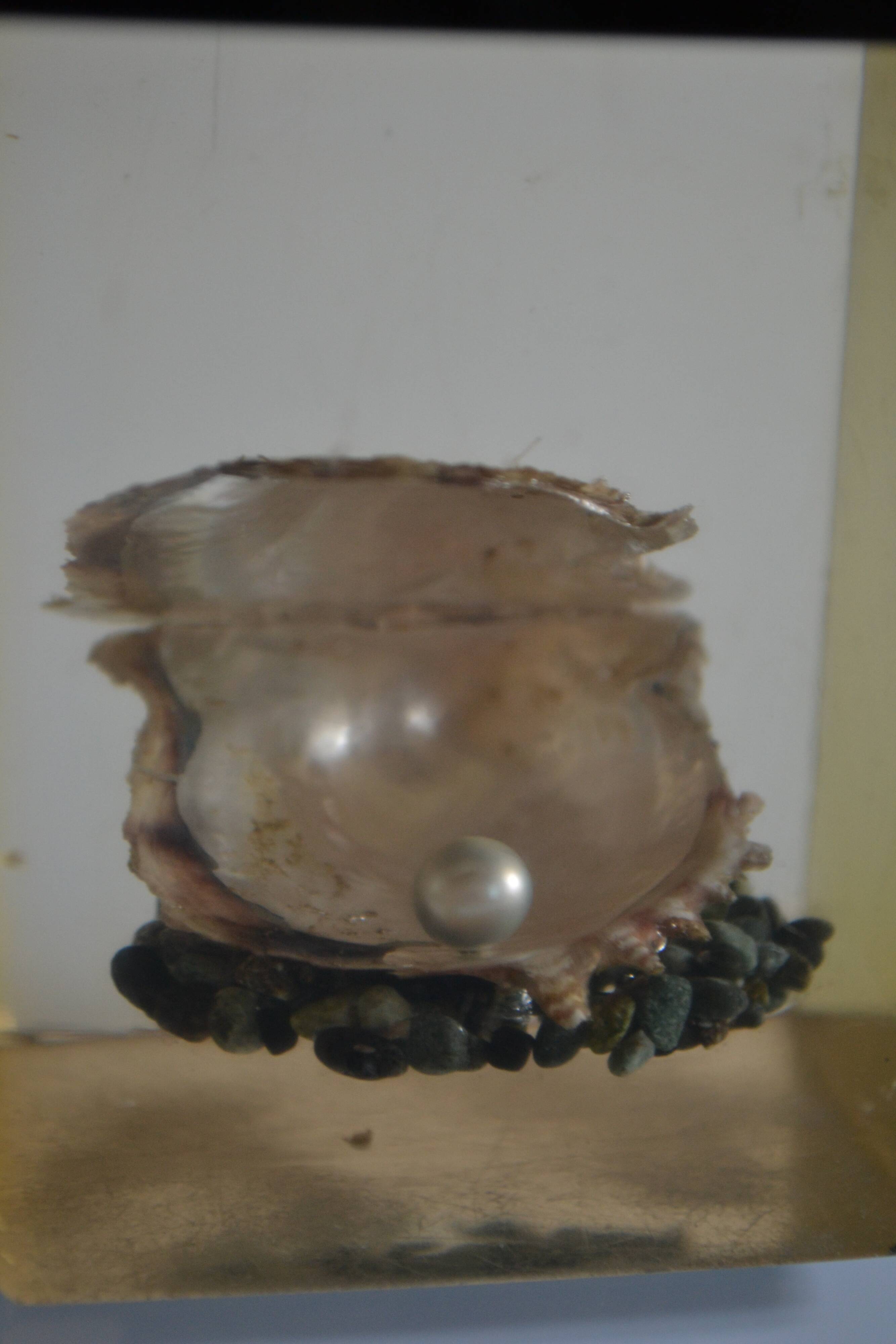 1970 Table lighter with pearl oyster in resin inclusion