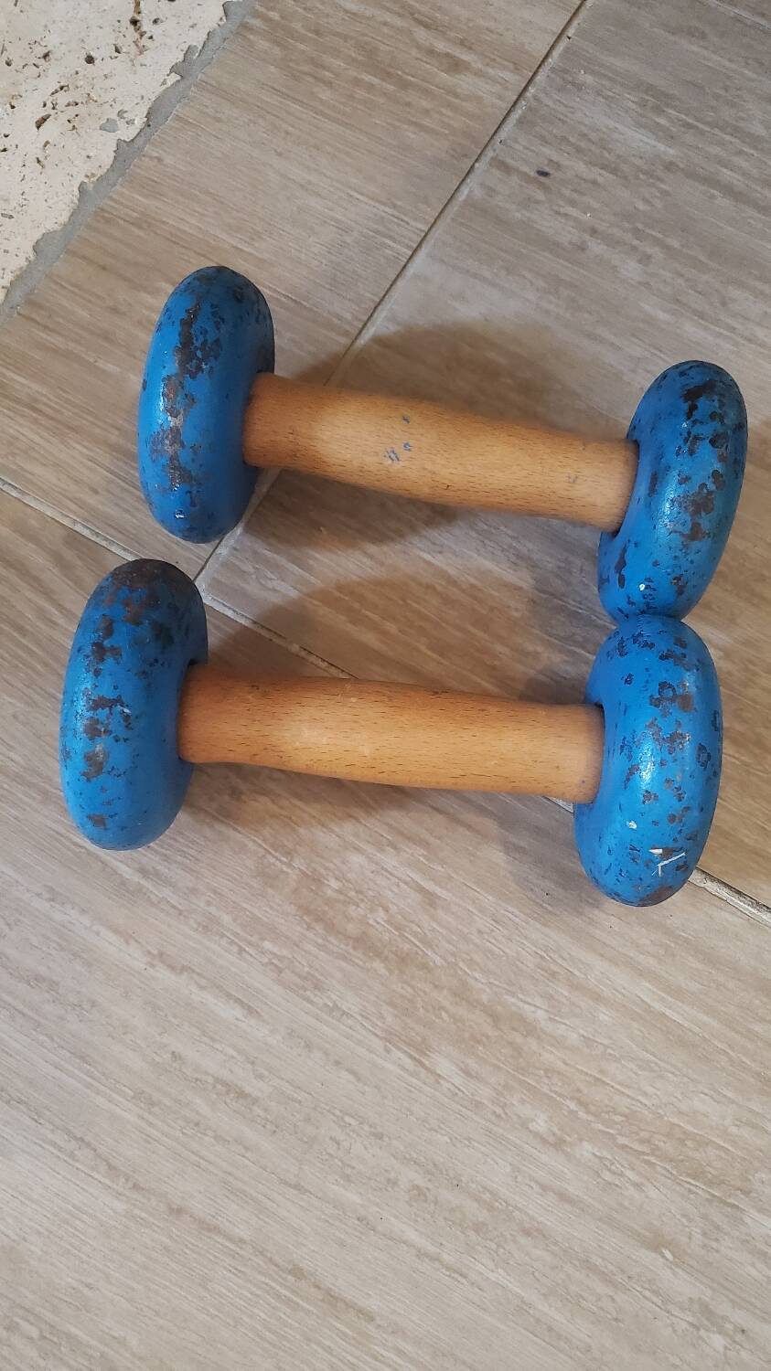 Lot de 2 Haltères Anciennes en Fonte – Poids de 1 kg (Chaque) - Sport & Plein air
