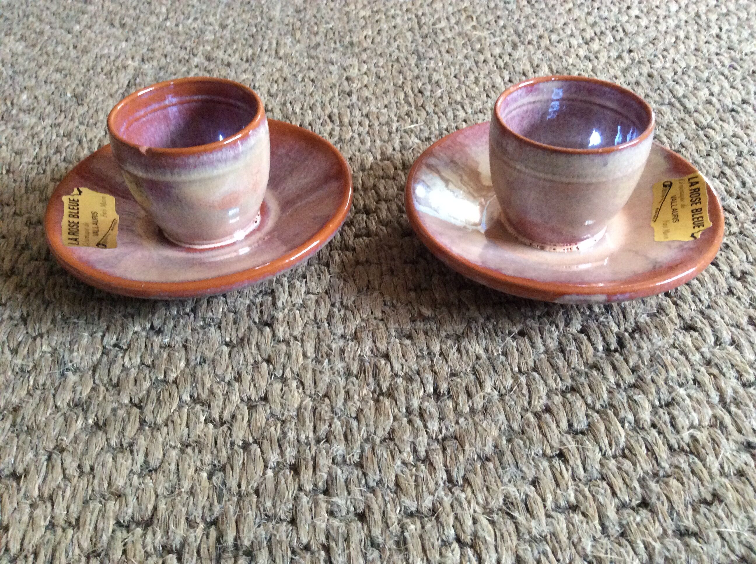 Series of 2 cockroats