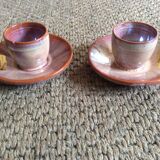 Series of 2 cockroats