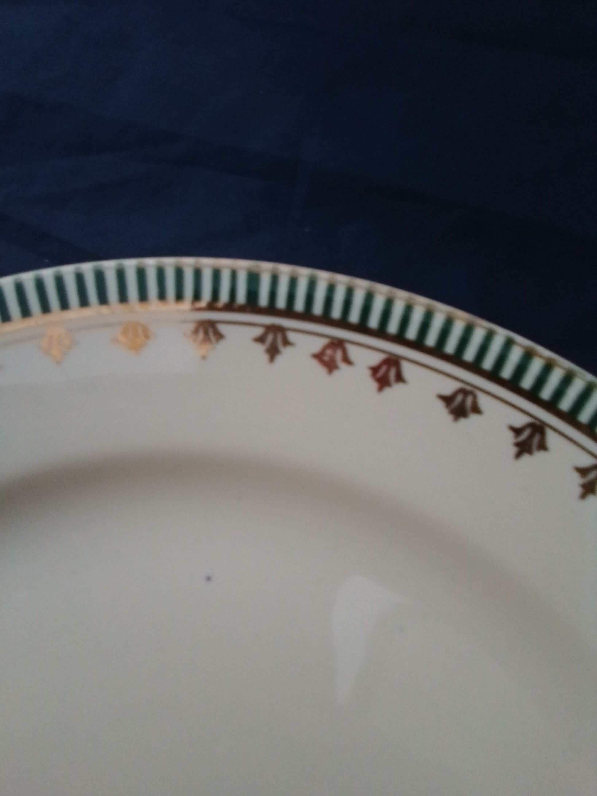 Flat plate in earthenware of Digoin Sarreguemines model Arcole diam 23,5 cm