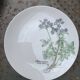 6 assiettes plates motif herbier en porcelaine winterling bavaria