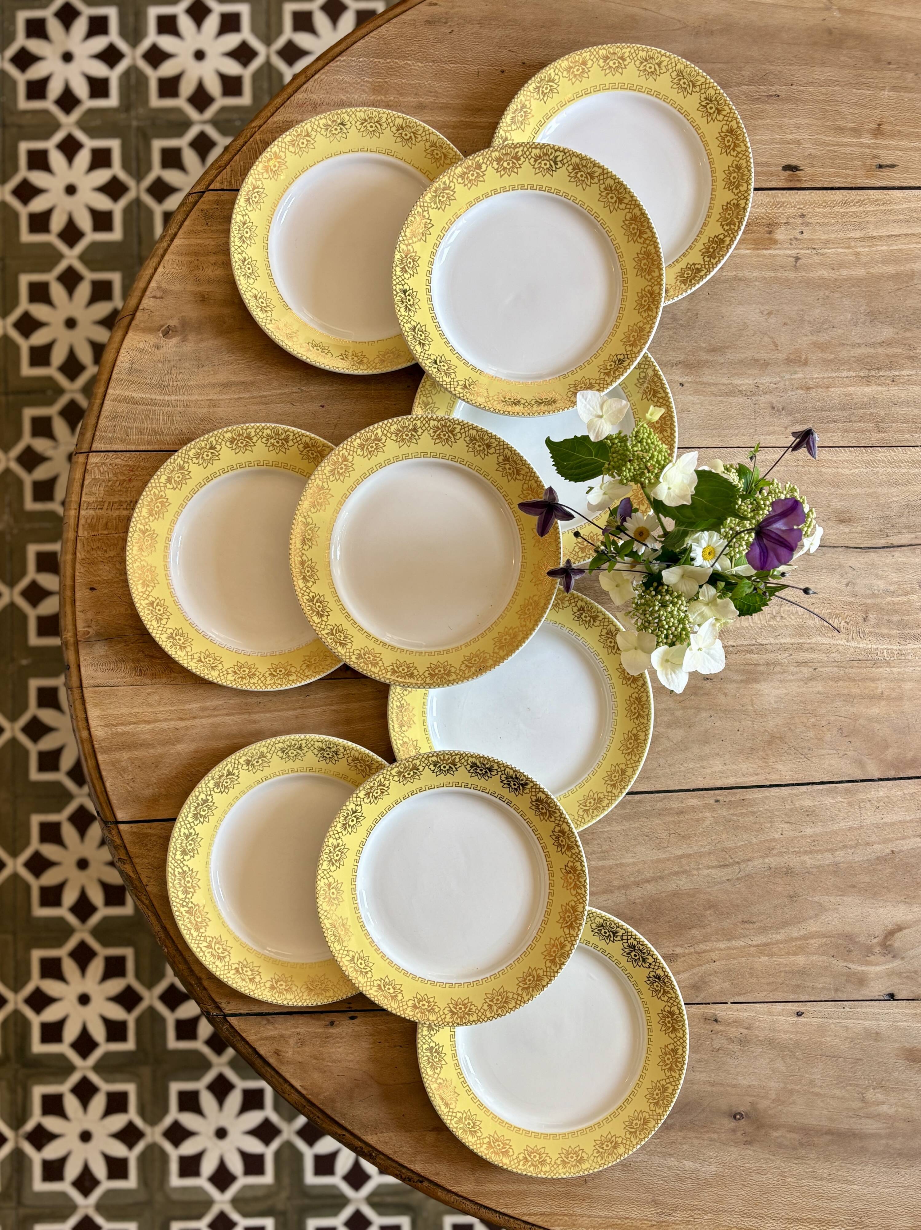 Set of 10 vintage white, yellow and gold dinner plates