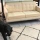 Vintage sofa two-seater Florence Knoll circa 1960