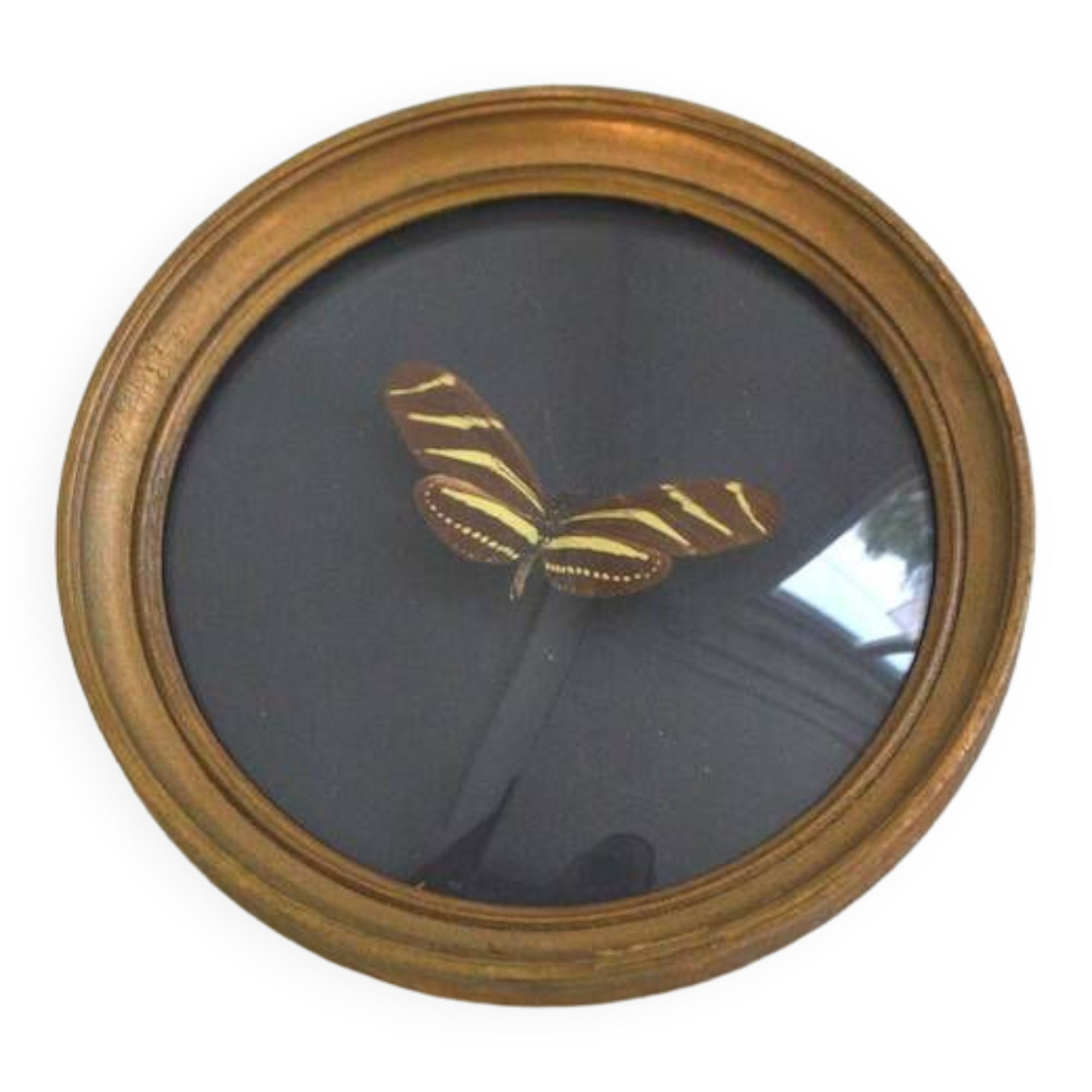 Butterfly frame under curved glass