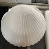Shellfish plates