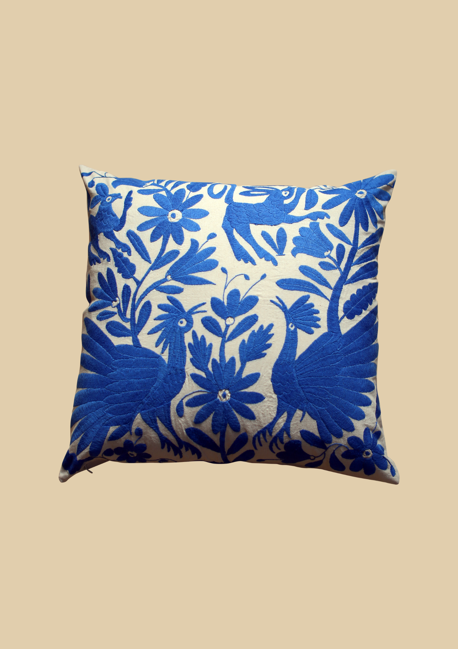 Hand-embroidered cushion