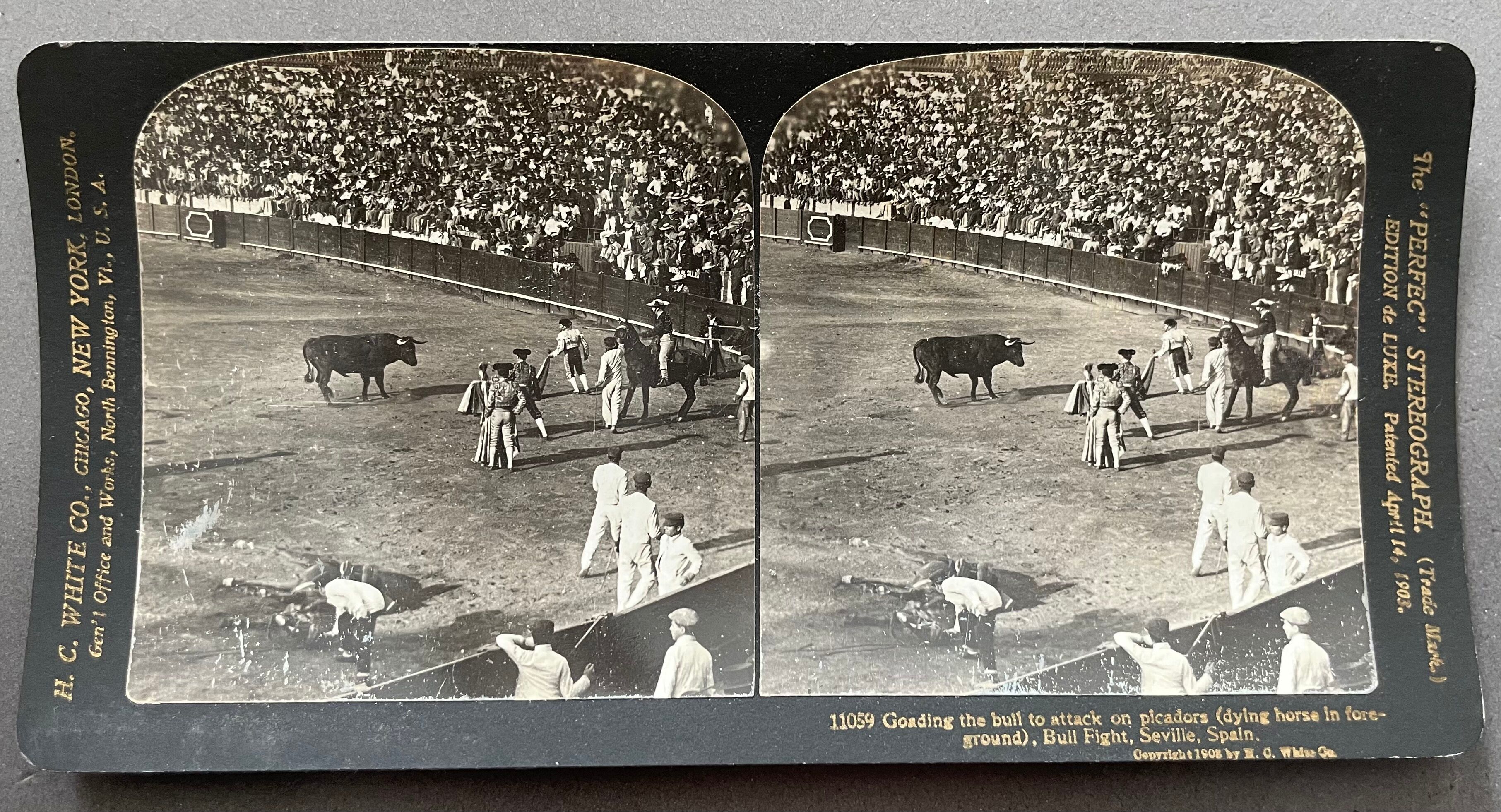 Old photography stereo, stereograph, luxury albumine 1903 bullfight, Seville, Spain