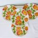 4 dessert plates from Moulin des Loups Orchies Ontario 210690