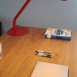 Lamp manade philippe michel