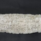 White coral cushion shark, vanuatu, papua new guinea