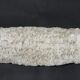 White coral cushion shark, vanuatu, papua new guinea