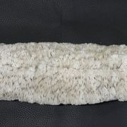 White coral cushion shark, vanuatu, papua new guinea
