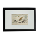 Planche zoologique originale " tatou, cachicame, fourmilier,... - buffon 1840
