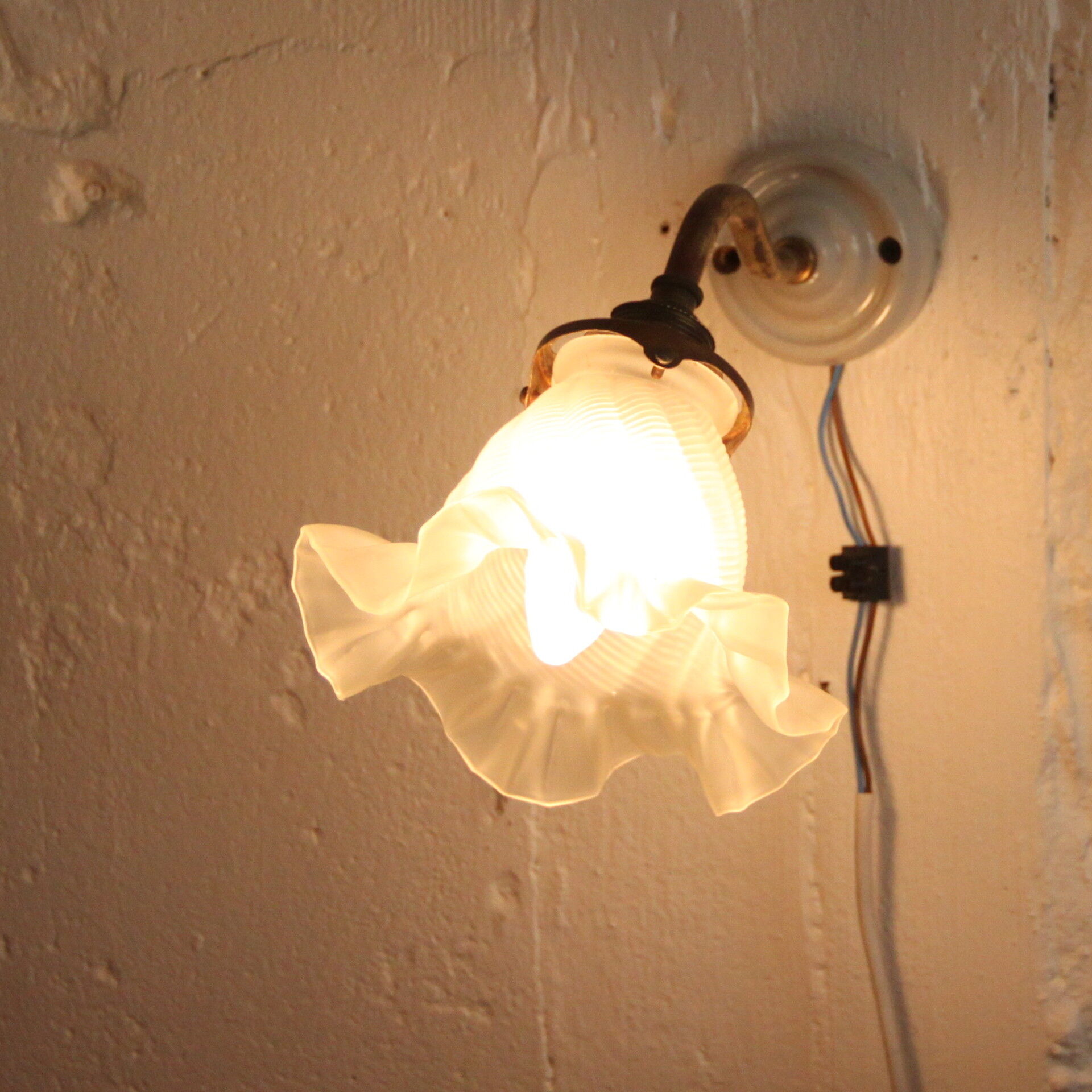 Apply wall collar brass and porcelain swan tulip glass
