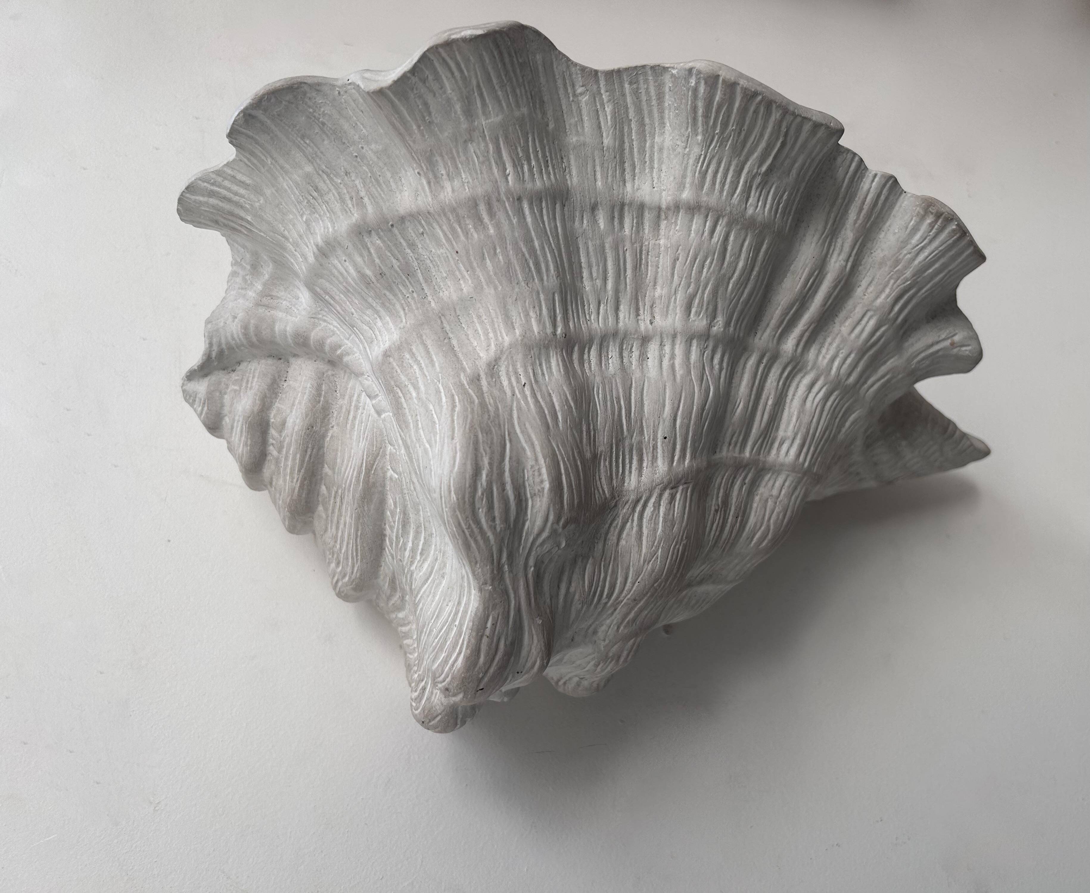 Pair of vintage shell wall lights, matte white plaster, France 1940