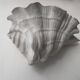 Pair of vintage shell wall lights, matte white plaster, France 1940