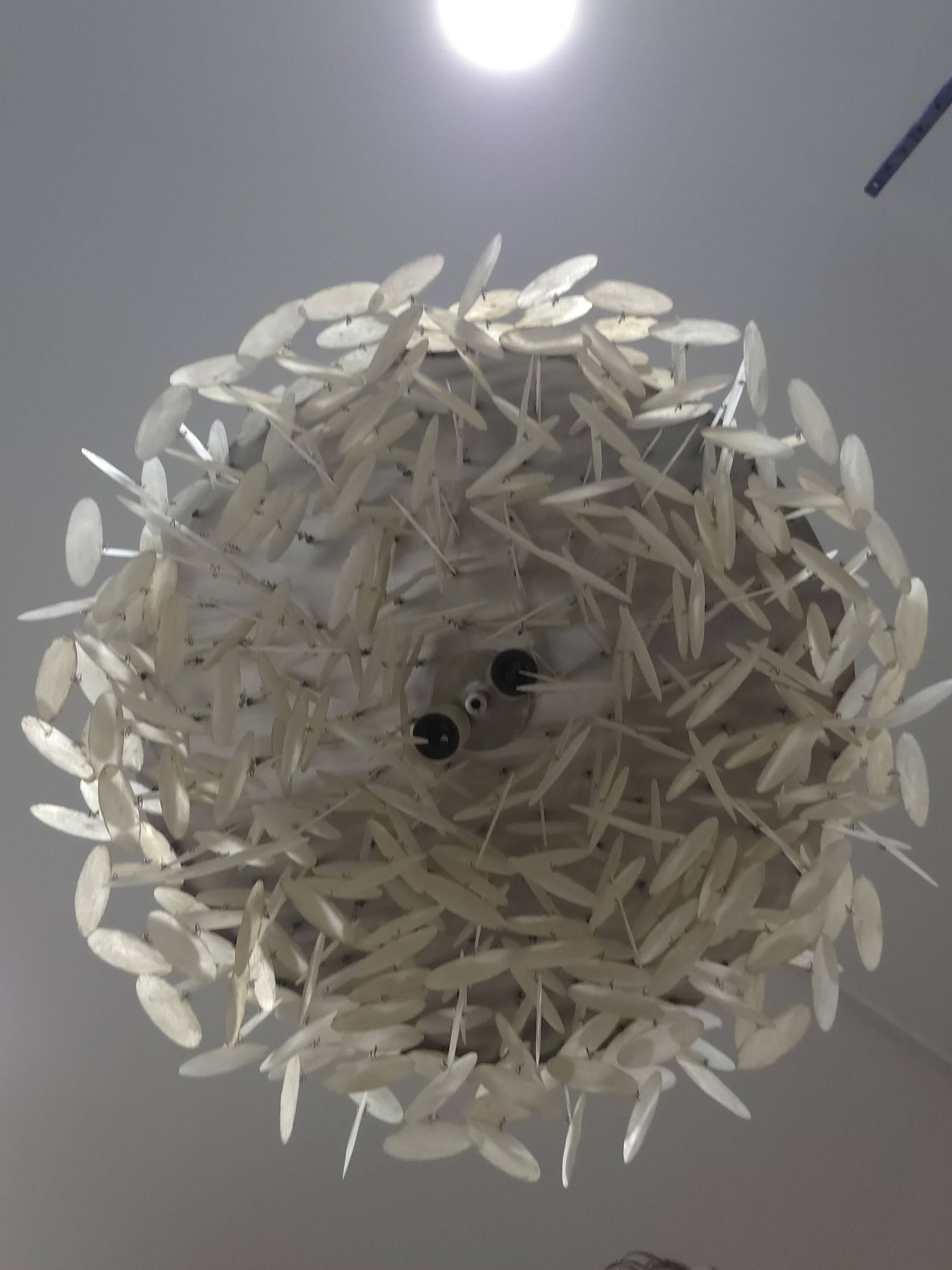 Ceiling light - Pendant light