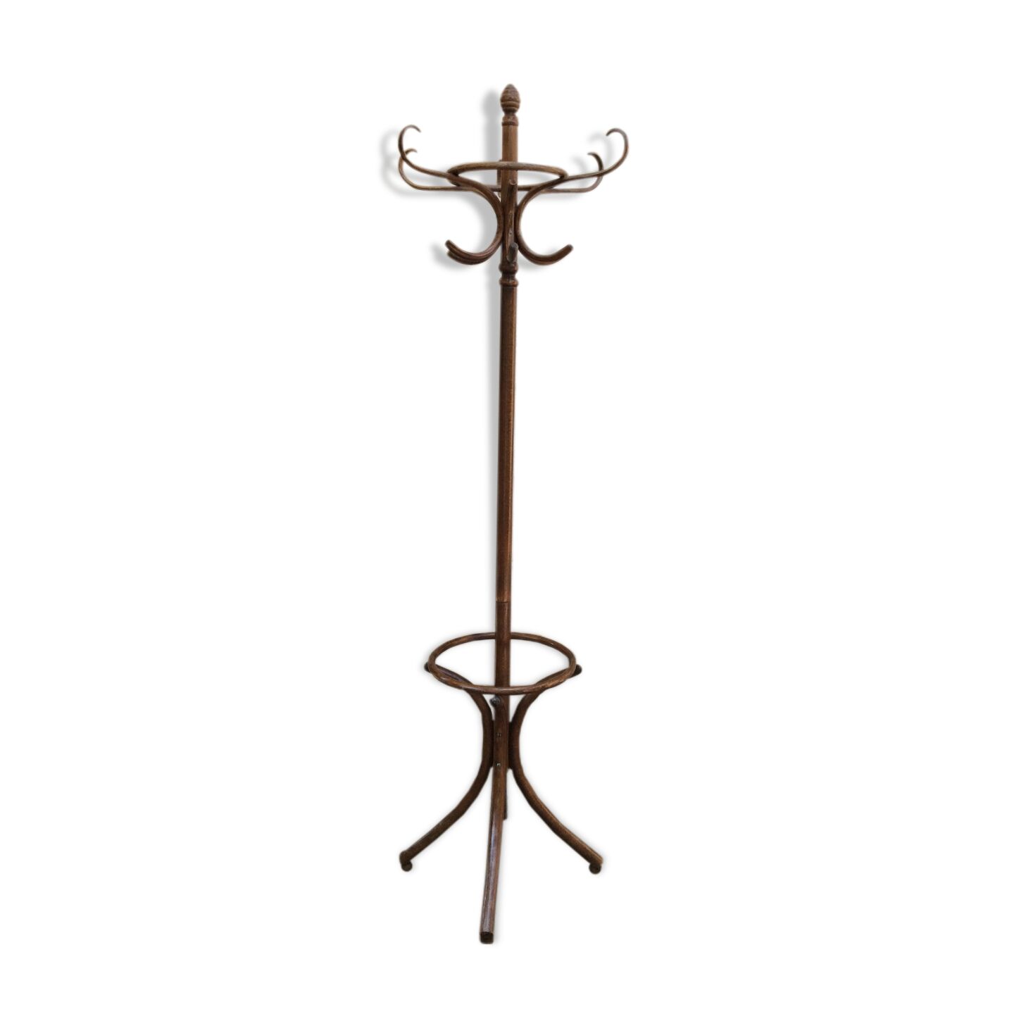 Coatrack parrot