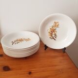 Set of 12 Magnolias hollow plates from Moulin des Loups