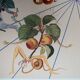 Salvador Dali : Flordali II, La rose papillon - Lithographie originale signée