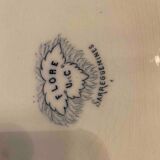 Set of 5 Sarreguemines soup plates FLORE model