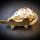 Bronze turtle and shell