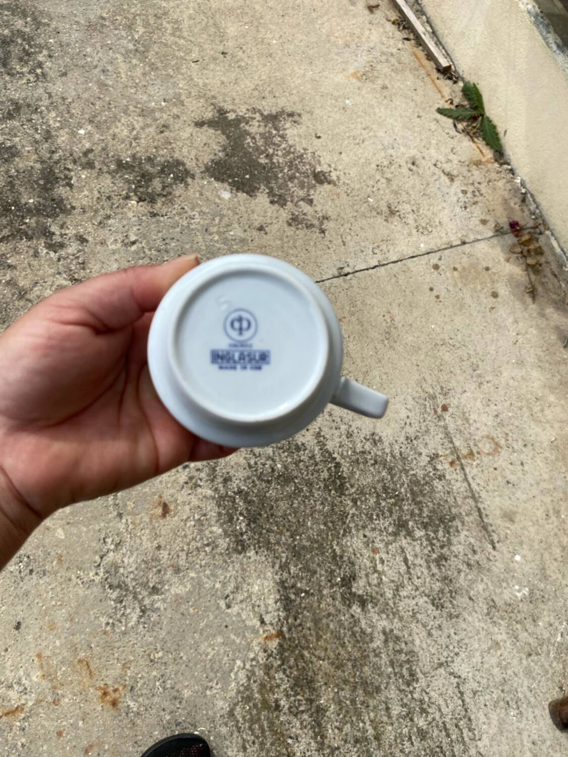 Service à café complet porcelaine allemande