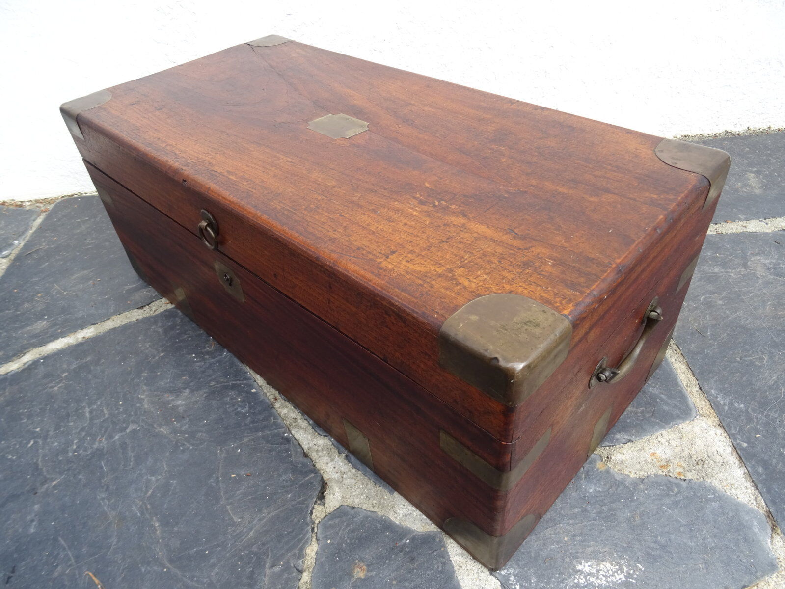 Old marine trunk in camphor tree