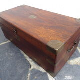 Old marine trunk in camphor tree