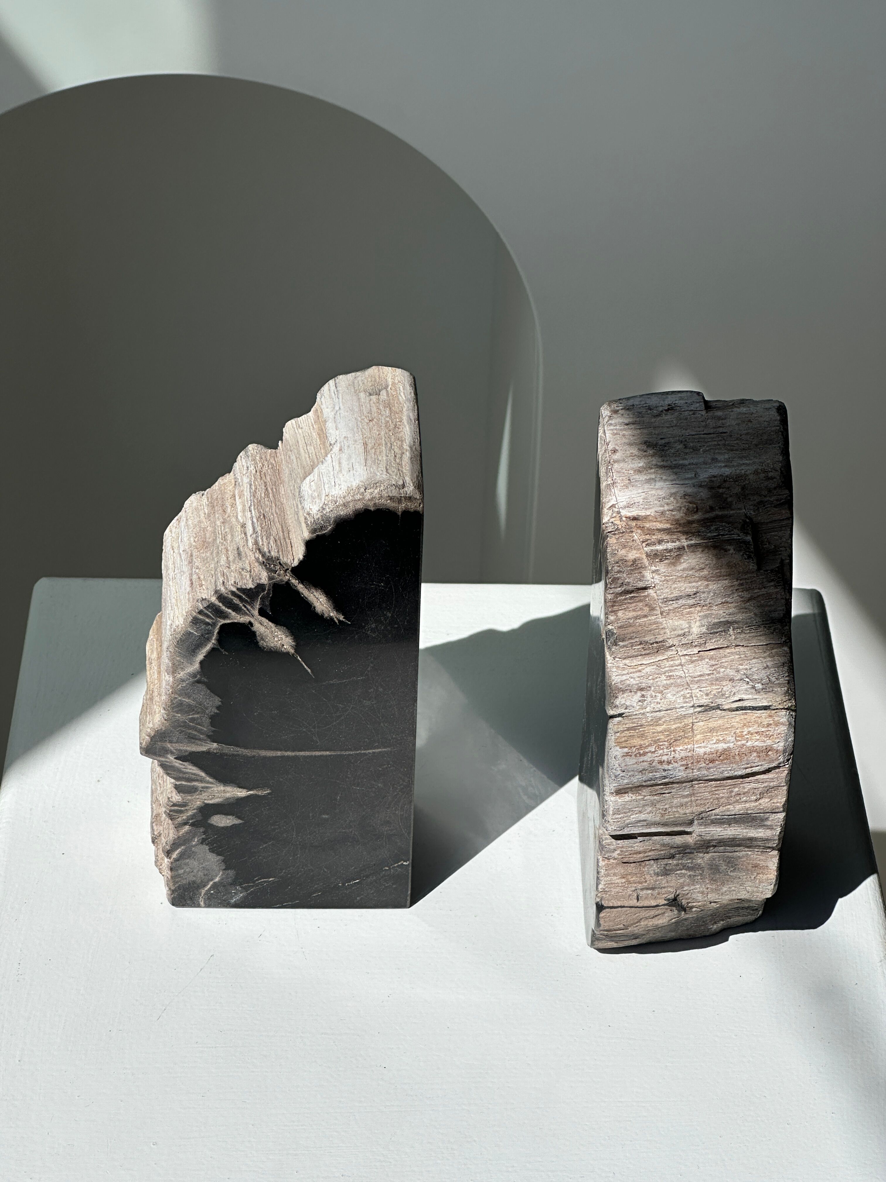Black petrified wood bookend H17 L17 P6