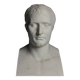 Buste de Napoléon en plâtre, 20e siècle.