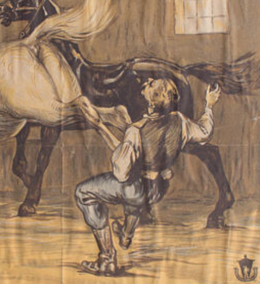 Displays "first aid with horses" Johannes Rudolfi 1929