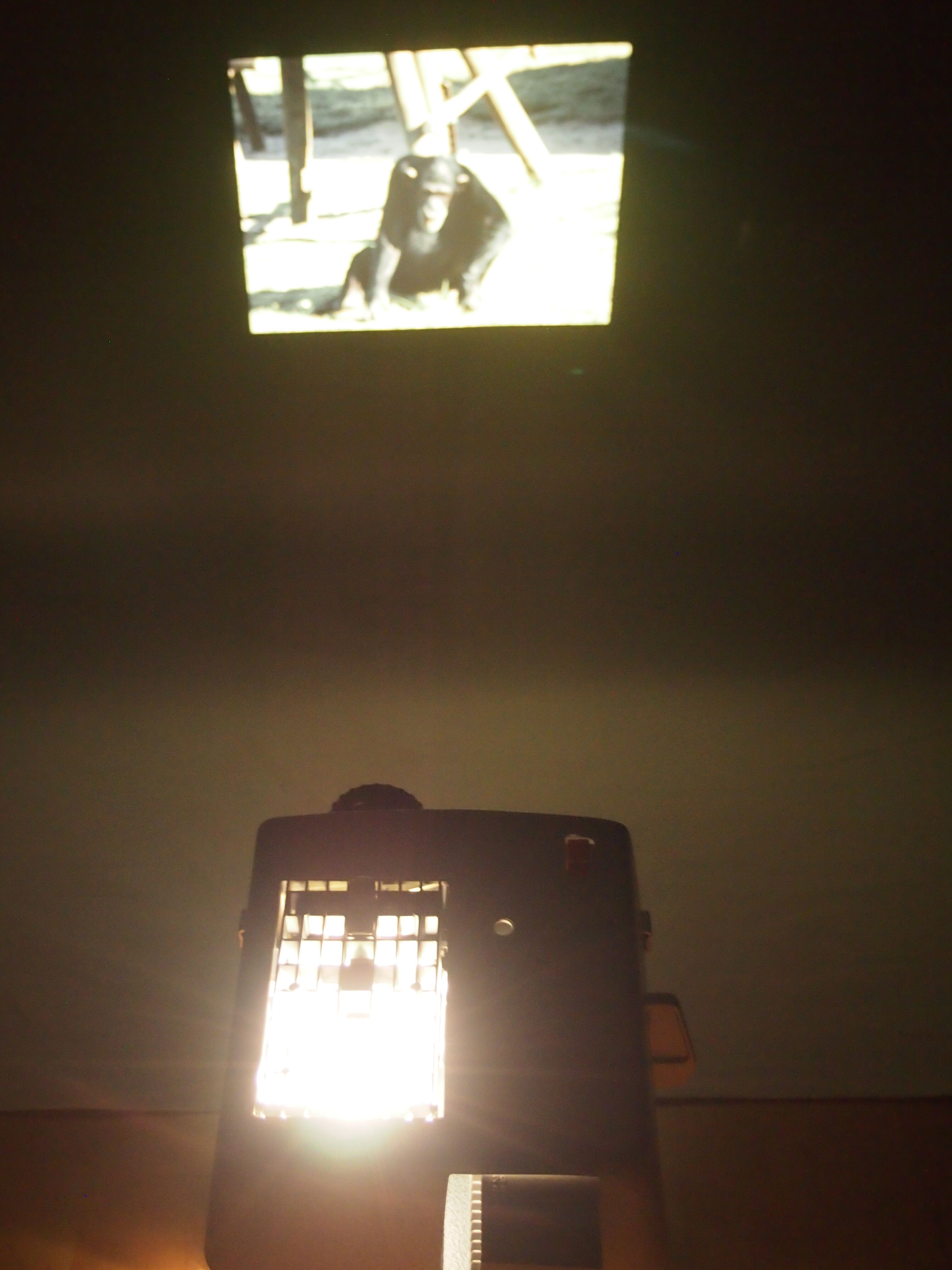 Perkeo Projector (1960)/vintage