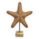 XXL Vintage Natural Starfish on Marble Base Cabinet of Curiosities