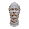 Bust of Socrates in marble dust