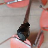 4 orange petal chairs, vintage