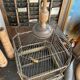 Old bird cage