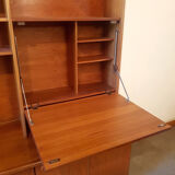 Living to scandinavian lines 60