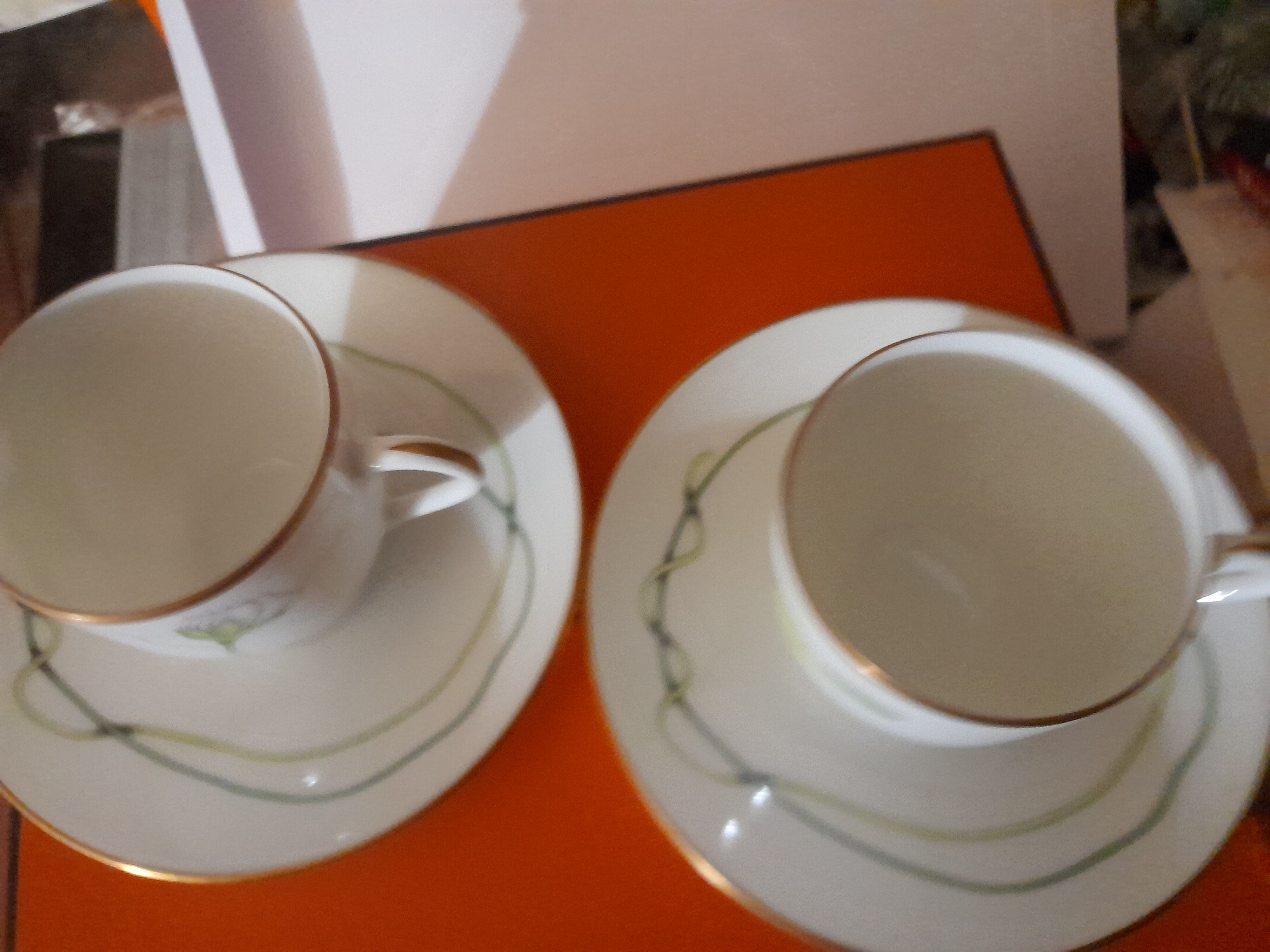 Hermes coffee cups nile