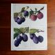 40s poster on plums