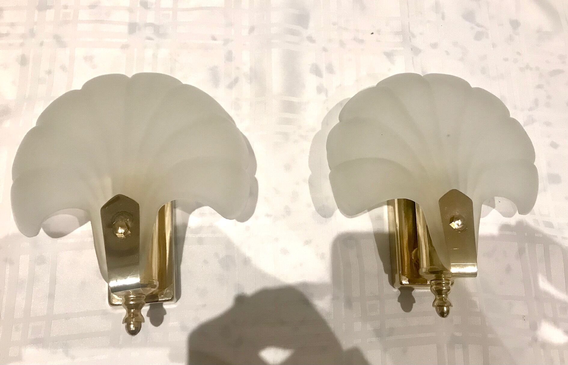 Pair of shell sconces