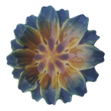 Empty pocket in the shape of a flower