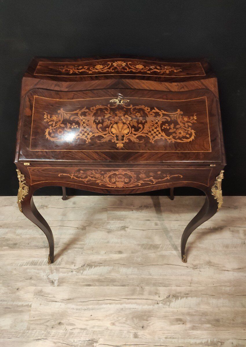 Secretary donkey back Napoléon III style