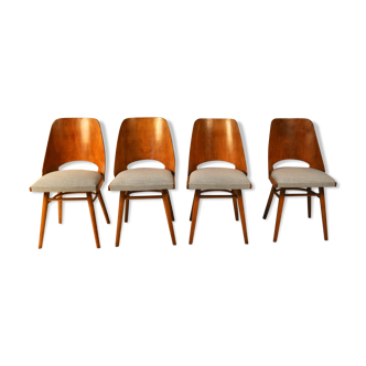 Chairs Oswald Haerdtl for Ton Czech Model 514 1960x