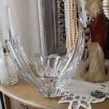 Daum cup