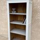 Vintage Parisian bookcase