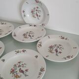 Set of 6 "Bird of Paradise" soup plates from Sarreguemines