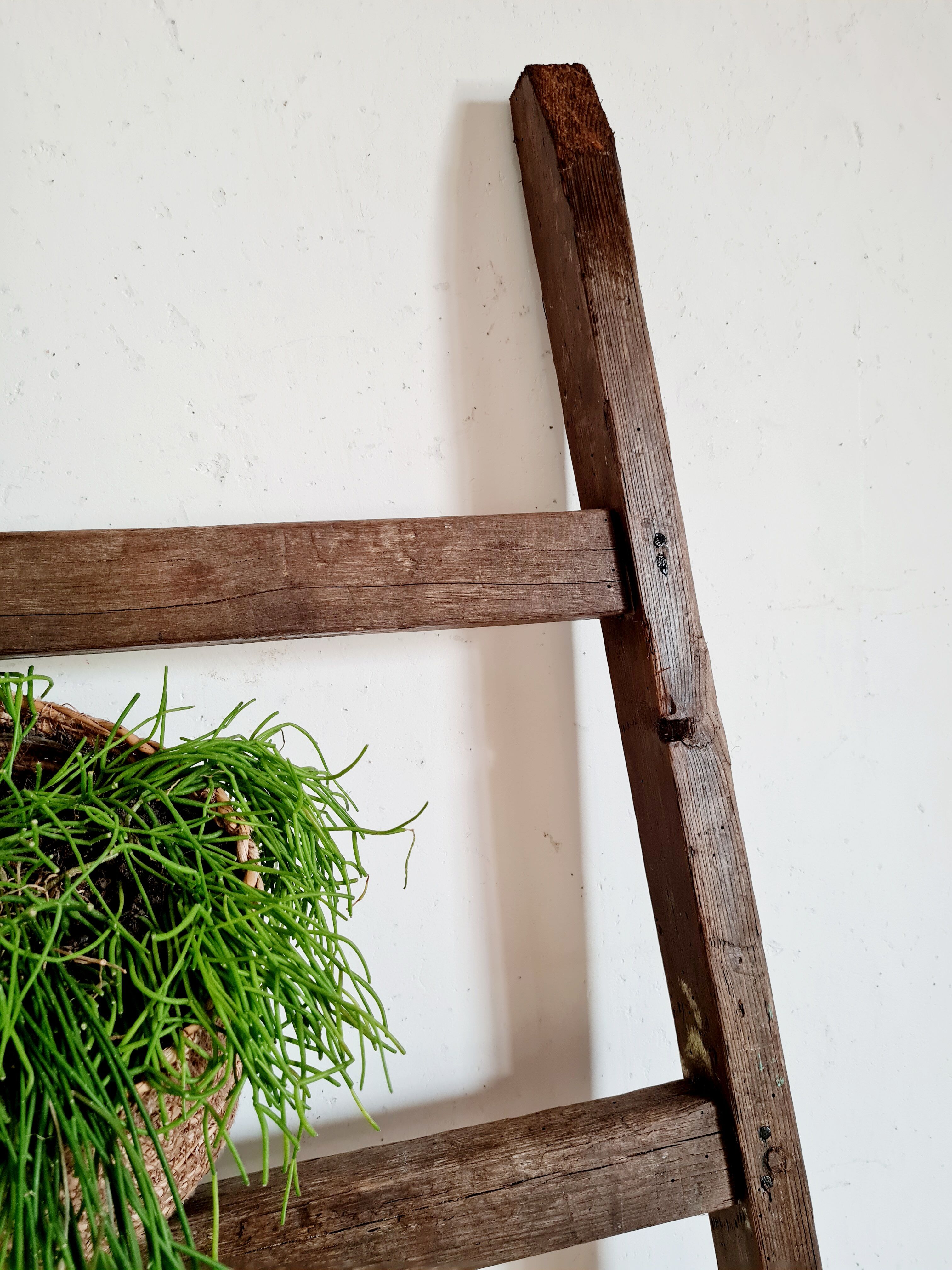 Old wooden country scale