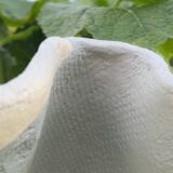 Willy guhl handkerchief planter